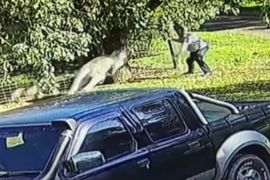 NERAVNOPRAVNA BORBA: Tokom sukoba sa njim, nekadašnji MMA borac izvukao deblji kraj - Događaj je mogao da ima i tragičan epilog! (UZNEMIRUJUĆI VIDEO)