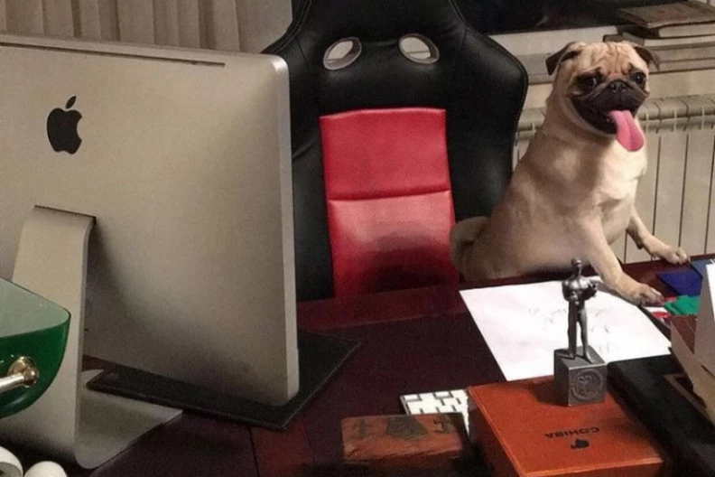 Zvezda ONLAJN NASTAVE: Ona nema decu, ali ima psa koji je prekida! (VIDEO)