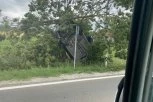 NISAM MOGAO DA VERUJEM: Automobil završio na drvetu, prolaznici trljaju oči (FOTO)