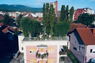 Napravili džunglu iznad dnevne sobe! Kuća u Pirotu jedinstvena u Srbiji: Ljudi su začuđeni i oduševljeni kad je vide! (FOTO)