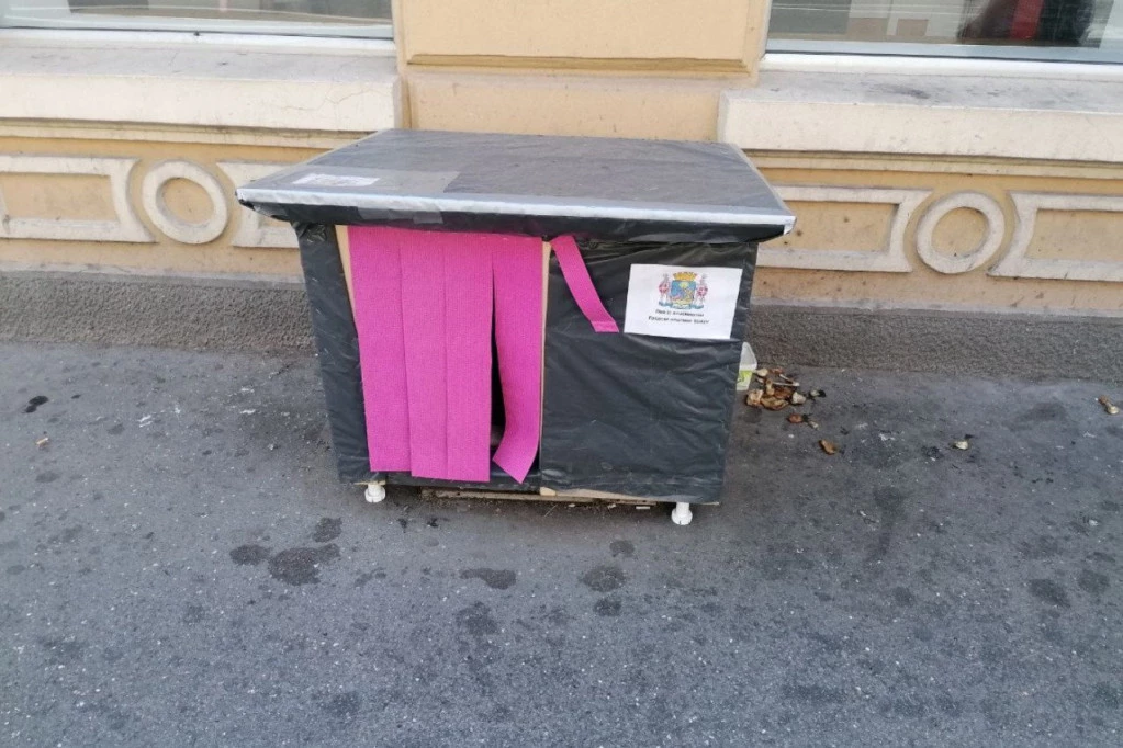 Evo kako je završila najpoznatija zemunska lutalica! Priča koja DIRA PRAVO U SRCE!