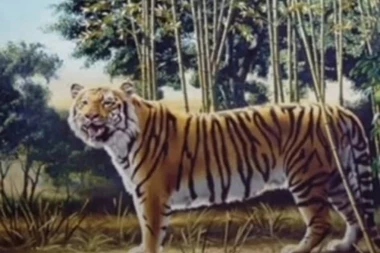 Da li vidite drugog tigra? Samo JEDAN ODSTO ljudi to može!