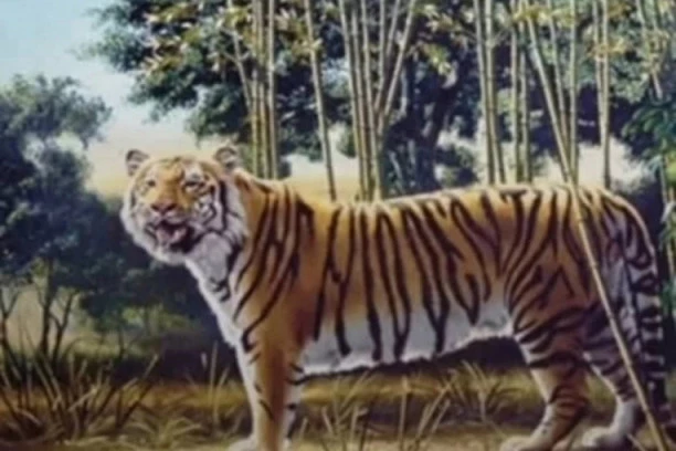 Da li vidite drugog tigra? Samo JEDAN ODSTO ljudi to može!