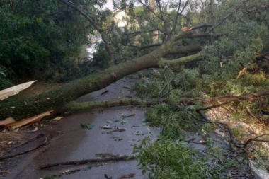 JAKO NEVREME POGODILO TOPOLU: Vetar čupao drveće iz korena, desetine kuća ostalo bez struje (FOTO)