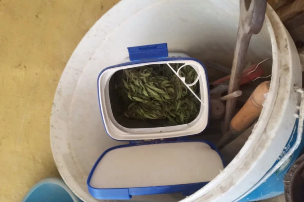 Uspešna akcija Subotičke i Zaječarske policije: Uhapšen diler iz okoline Malig Iđoša