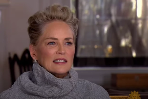 "IZGUBILA SAM MILIONE NAKON MOŽDANOG UDARA": Šeron Stoun se prisetila NAJTEŽEG perioda, pa šokirala: "Ljudi su me koristili, mislili su da ću UMRETI!"