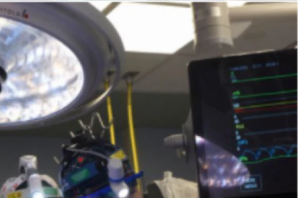 Uhapšeni poznati političar i njegova supruga! Prokrijumčarili dete beskućnika kako bi mu uzeli organe! STRAŠNO!