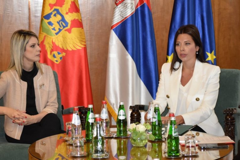 Vujović se sastala sa ministarkom ekologije Crne Gore