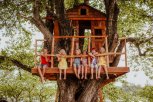 Napravite kućicu na drvetu u dvorištu: Korak po korak do idealnog kutka za vašu decu!