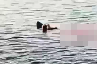 Zbog AJKULE UBICE zatvorena obala u Hurgadi! Zabranjene sve aktivnosti na vodi najmanje TRI DANA! (UZNEMIRUJUĆI VIDEO)