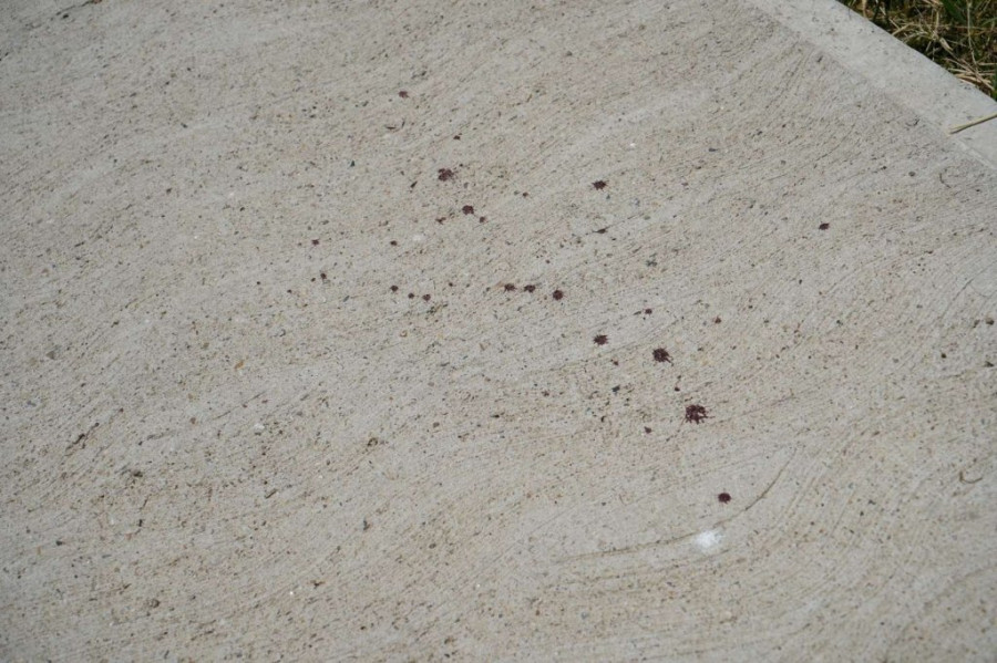 Krv na betonu kod restorana