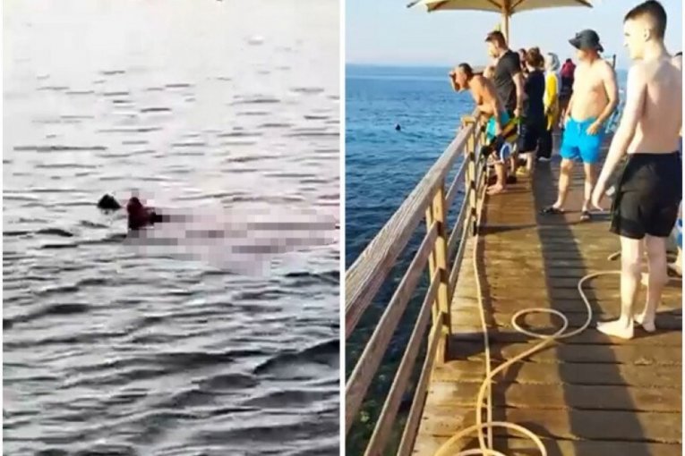 "Kod nas nema ajkula"! Turisti upozoravali spasioce da su videli morskog psa, oni im se smejali! Žana otkriva šta se dešavalo pre pokolja u Hurgadi!