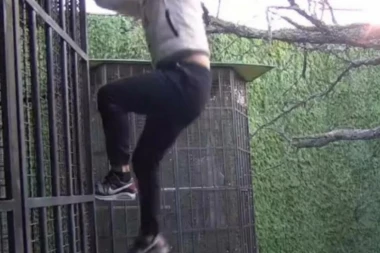 Mladić PROVALIO u Zadrugu: Filip Car ostao zatečen razgovorom sa njim! (VIDEO)