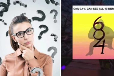 Samo JEDAN OD 1000 korisnika uspeo je da nađe SVIH 10 CIFARA! Da li ste to baš VI?