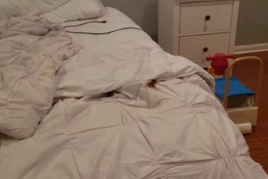 KAO IZ HOROR FILMA! Džesiju se ovo "stvorenje iz pakla" pojavilo u krevetu: Nikada nisam video ovako nešto, ali sam znao da nije dobro! (FOTO,VIDEO)