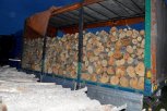 DVE AKCIJE POLICIJE U SOMBORU I VRANJU: Osumnjičenima stavljene lisice zbog bespravne seče šume i prodavanja drva