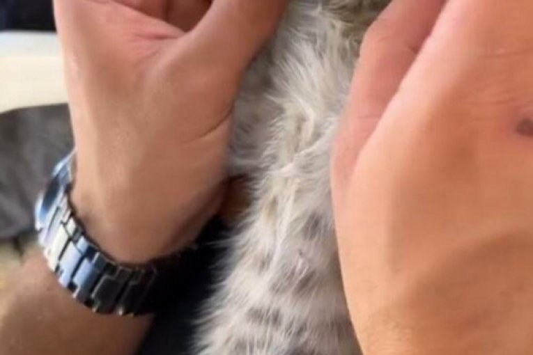 Aleksandra Nikolić Instagram