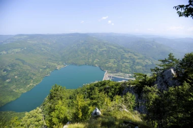 OPASNOST NA OVOJ SRPSKOJ PLANINI! Primećena opasna zver: Jedno je čini još agresivnijom, nadležni pozivaju na oprez