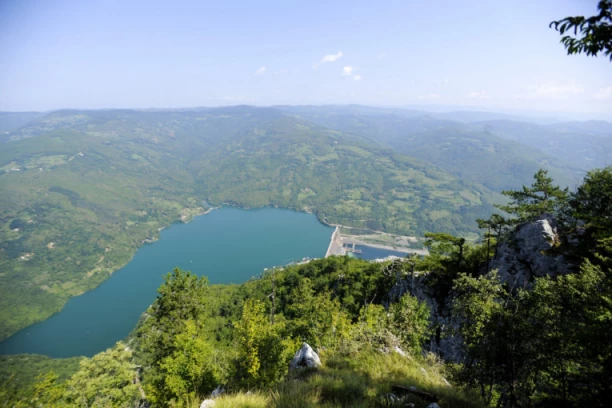 OPASNOST NA OVOJ SRPSKOJ PLANINI! Primećena opasna zver: Jedno je čini još agresivnijom, nadležni pozivaju na oprez