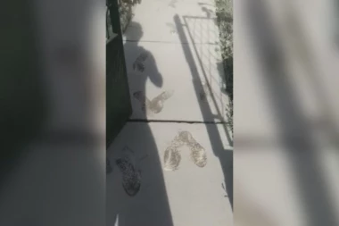 ZABELEO SE ČAČAK USRED LETA: Meštani u čudu - neverovatan prizor na skoro 40 stepeni (FOTO)