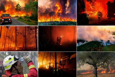 VRELA APOKALIPSA SATIRE EVROPU, od vrućine umrlo najmanje 1.000 ljudi! Britaniji gore svinje, ograničava se kupovina flaširane vode, a Francuskom besne požari! (FOTO, VIDEO)