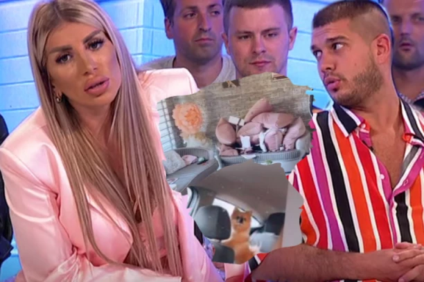 Dragojevići ŽESTOKO ZARATILI! Dejan i Dalila urlali jedno na drugo, HAOS oko podele IMOVINE, ona ne da KUĆU, on ne da Tedija! (VIDEO)