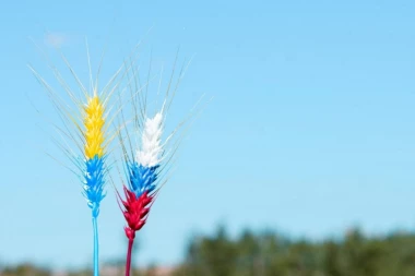 RUSIJA I UKRAJINA POTPISALE SPORAZUM! Kraj krize sa hranom: Ponovno pokretanje IZVOZA ŽITARICA!