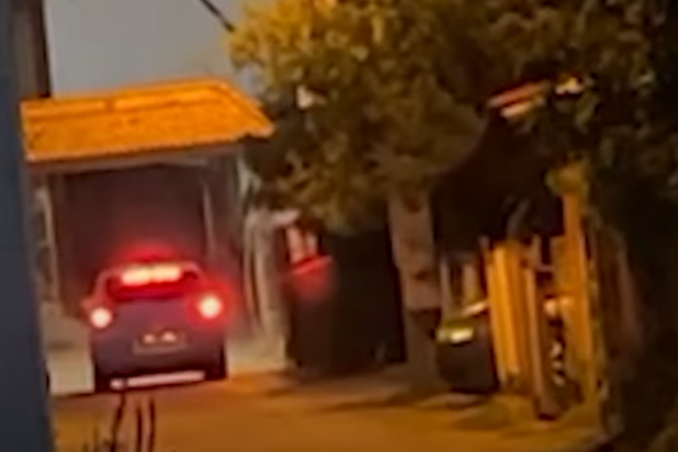 Car otišao u etno-selo
