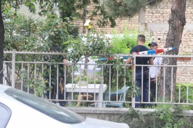 DETALJI SVIREPOG ZLOČINA U ZEMUNU: Telo žene satima krvavo ležalo u dvorištu! (FOTO/VIDEO)