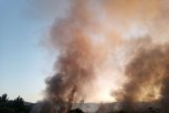 UHAPŠEN TINEJDŽER PIROMAN: Podmetnuo čak deset požara na teritoriji Herceg Novog