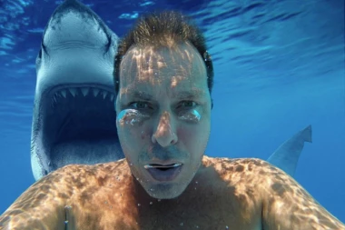 Čovek koga je napala ajkula: ZAGRLIO BIH JE da mogu kako bih joj se zahvalio!