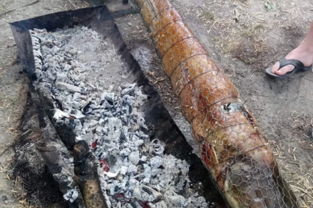 JESTE LI PROBALI SOMA NA RAŽNJU?! Momci ulovili kapitalca od 17 kg u Dunavu i spremili ga na neobičan način: Jedva su kosti ostale! (FOTO)