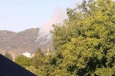 LOKALIZOVAN POŽAR NA VRŠAČKOM BREGU! Snimci nakon gašenja pokazuju strahovite posledice! Ljudski faktor uzrok? (VIDEO)