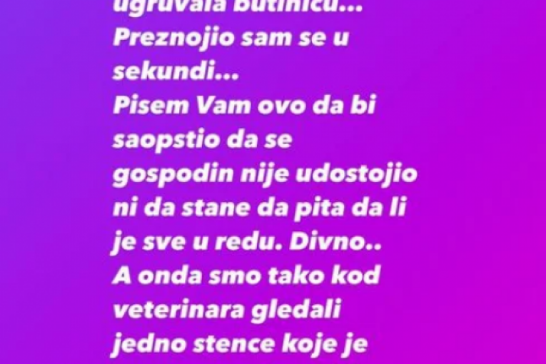 Nenad Marinković Gastoz Instagram