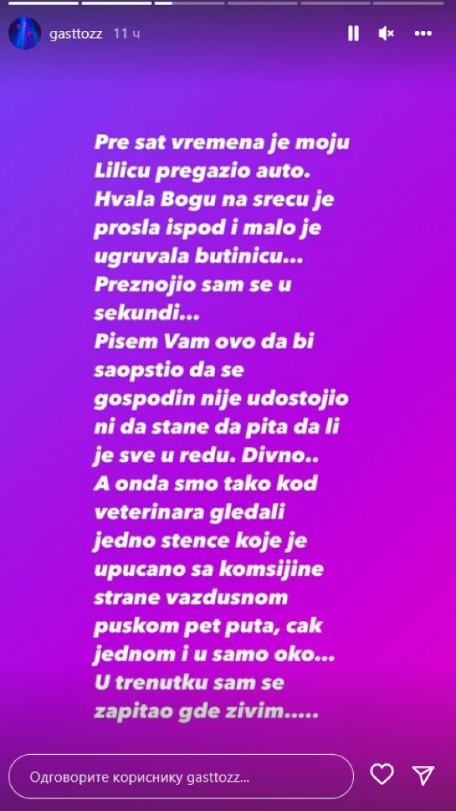 Nenad Marinković Gastoz Instagram