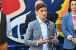 BRNABIĆ: Kurtijeve namere su da protera Srbe sa KiM, naša agenda u Briselu je mir i stabilnost!