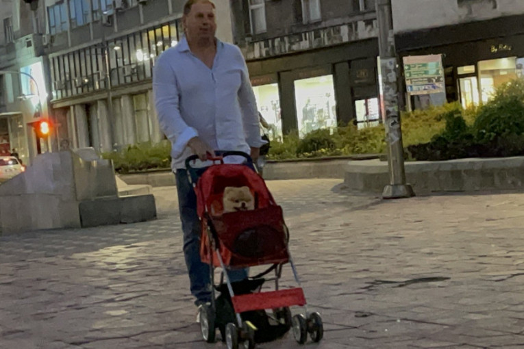 Taki Marinković voza psa Lea
