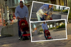 ŠOK PAPARACO! Taki Marinković VOZA psa u KOLICIMA za bebe, svi se okreću za njim, a CENA je paprena, detalj je svima kopao oči! (VIDEO)
