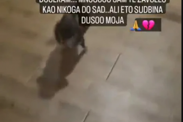 Bori Santani preminuo pas