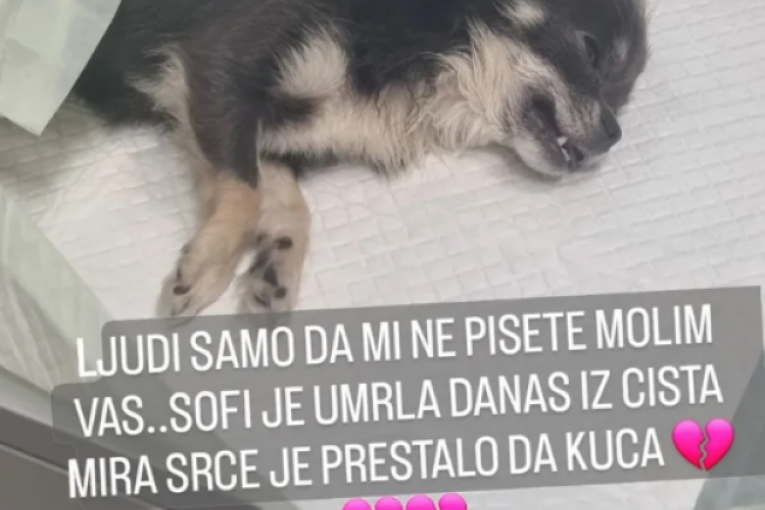 Bori Santani preminuo pas