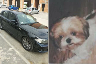 Novosađanin trampi BMW za psa! U ogromnom je problemu i uopšte se ne šali! U jednom trenutku morala i policija da reaguje! (FOTO)