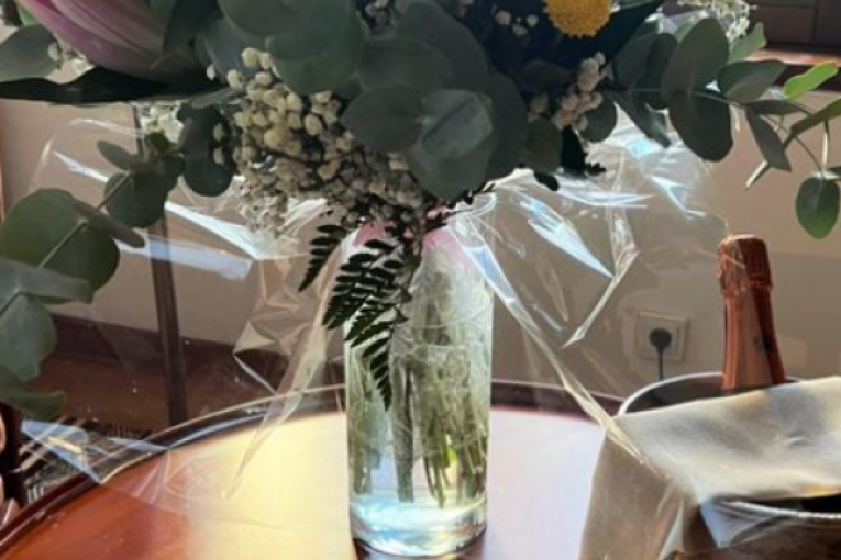 Alesandra Ambrozio u luksuznom hotelu