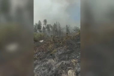 GORI ŠUMA KOD PRIBOJA: Vatrena stihija preti da se približi kućama (FOTO)