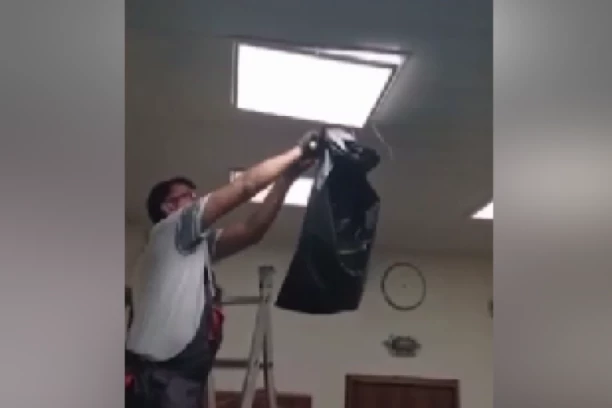 NEPRIJATAN PRIZOR SABLASNUO RADNIKE VMA: Gmizala je po prozoru, evo ŠTA se desilo (VIDEO)