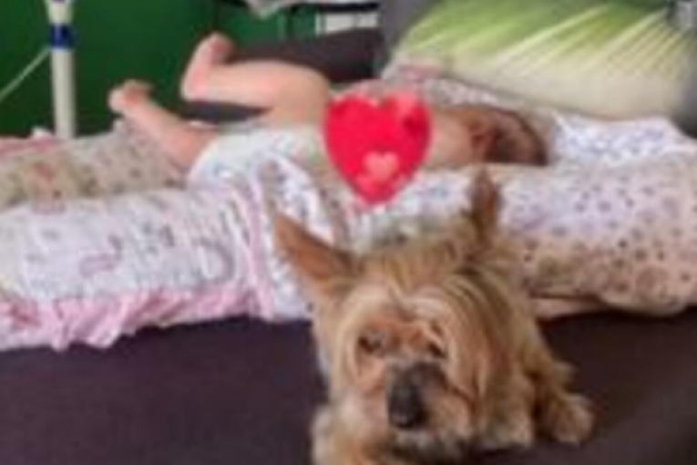 Anabele Atijas preminuo pas