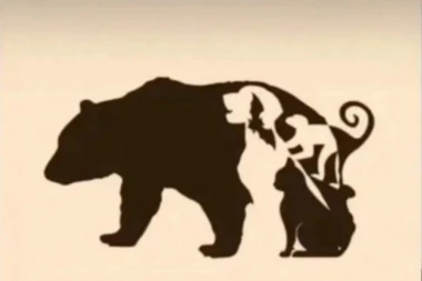 SAMO 1 ODSTO ljudi može da uoči sve ŽIVOTINJE na slici! Optička iluzija koja je ZALUDELA svet!