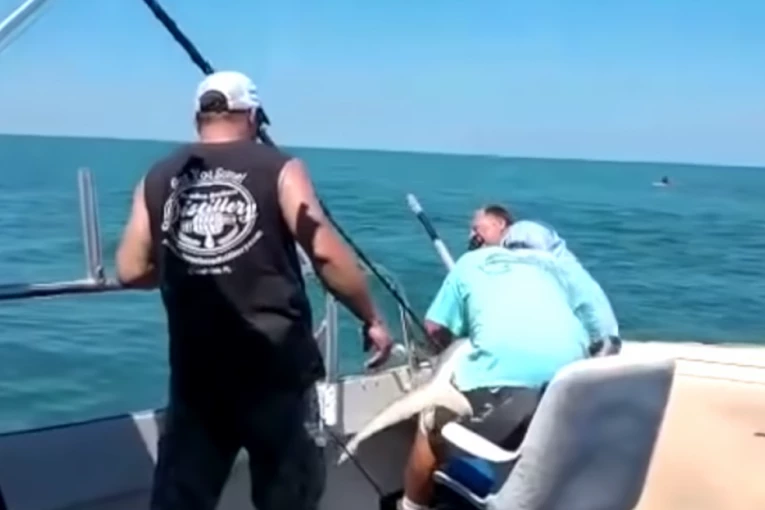 RIBARA UMALO POJELA AJKULA! Zakačila mu se za udicu, nije znao ni šta vuče, a onda je usledio HOROR! Pogledajte dramatičnu akciju spasavanja! (UZNEMIRUJUĆI VIDEO)