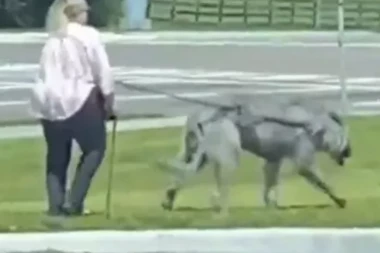 BABA, ŠTA TO FURAŠ? Žena prošetala ZVER, prolaznici ga porede sa OVIM BIĆEM, JEZIVO! (FOTO)