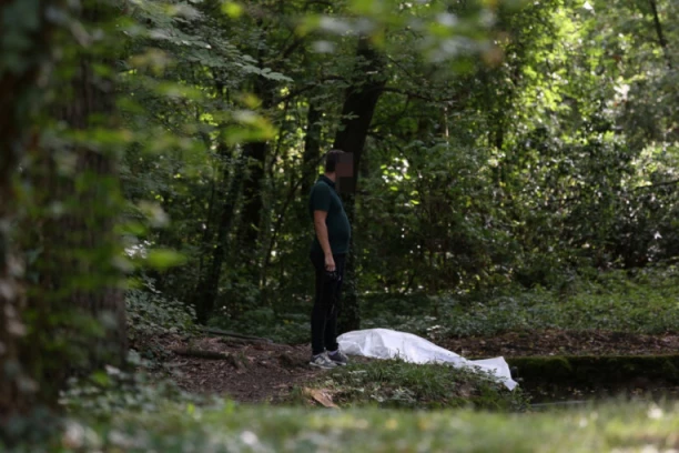 DVOJICA GA NAMAMILA U AUTOMOBIL, PA MU PUCALI U GLAVU! Jedan od napadača u bekstvu!