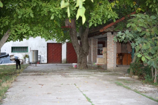 SUMNJA SE DA OBEZGLAVLJENO TELO PRIPADA NESTALOM GORANU! Posle obeležavanja godišnjice "Oluje" mu se gubi svaki trag, brat strahuje od rezultata obdukcije!